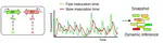 Inferring gene regulation dynamics from static snapshots of gene expression variability